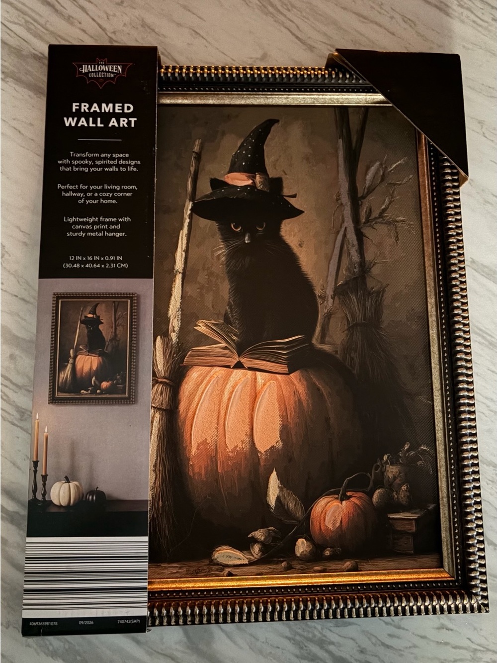 Framed Halloween Wall Art - Black Cat on Pumpkin -NWT